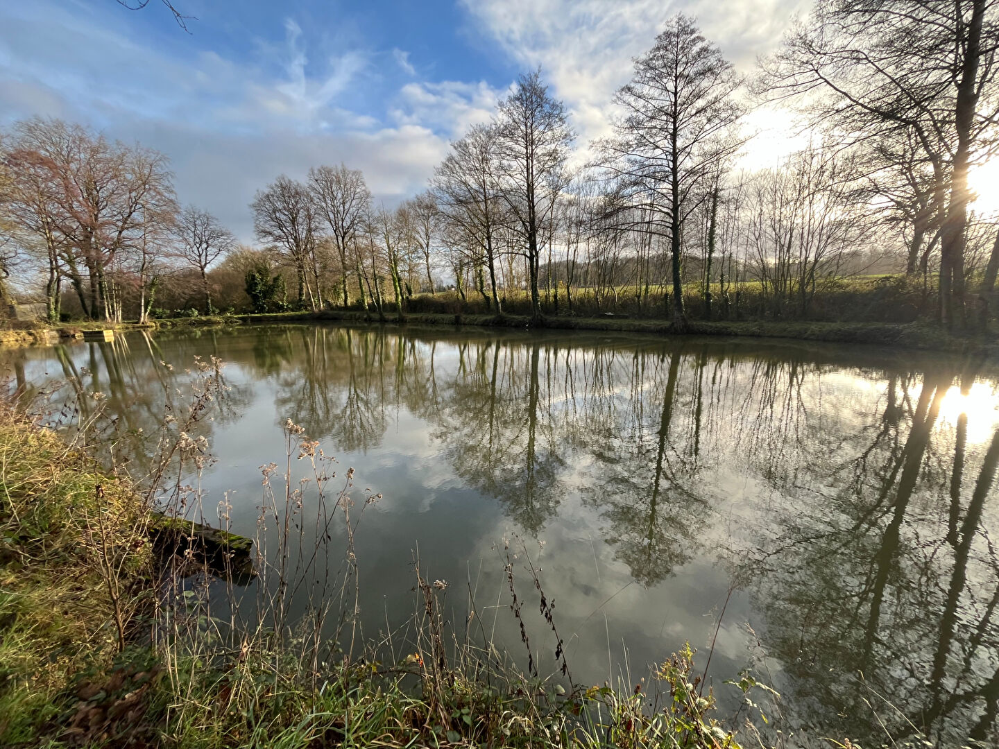 Terrain  à Saint meen le grand
