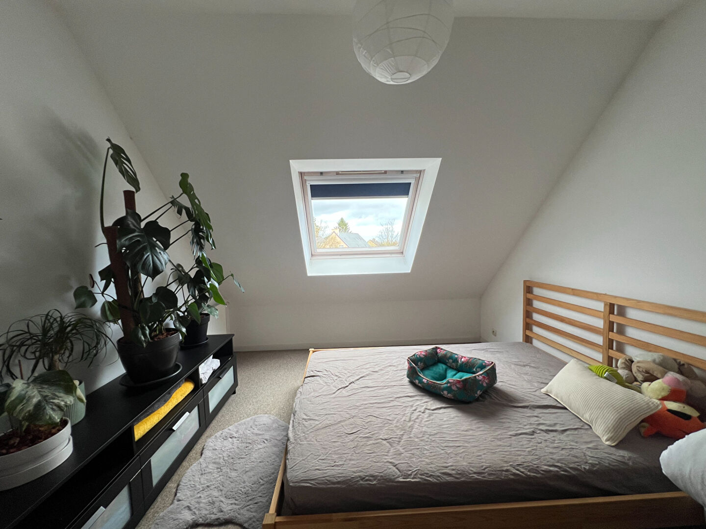 Maison T6 à Saint symphorien