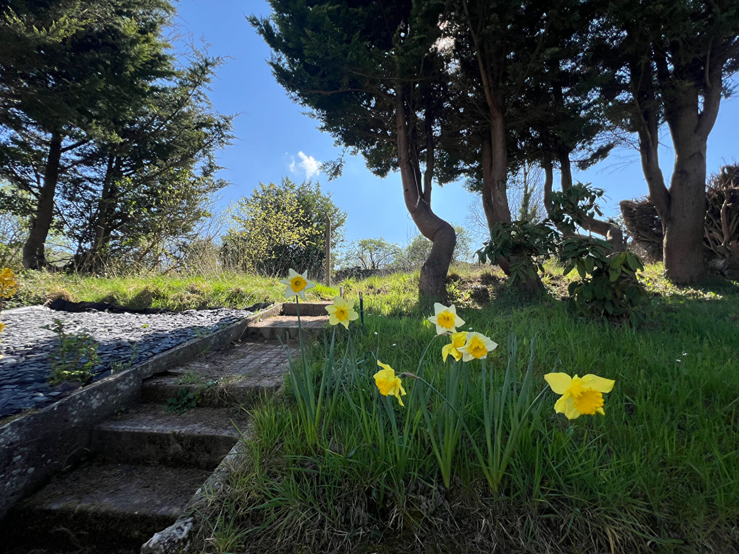 Maison T7 à Lanrelas