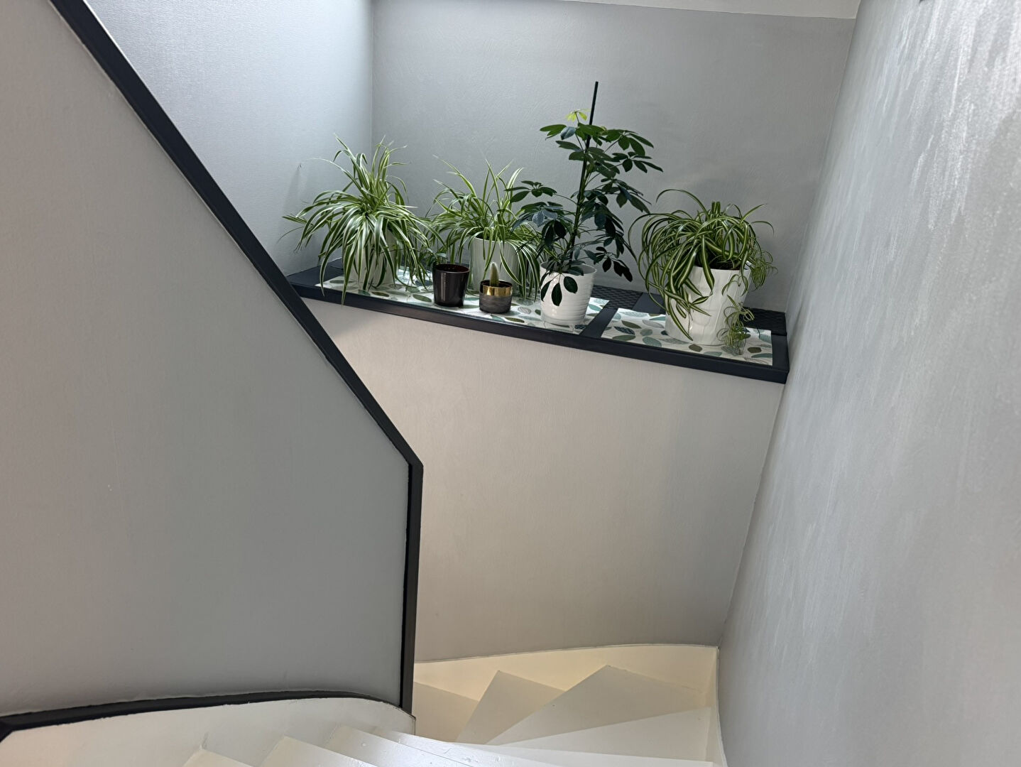 Maison T6 à Saint thurial