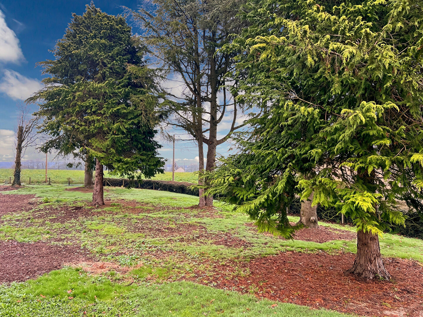 Maison T8 à Tremorel