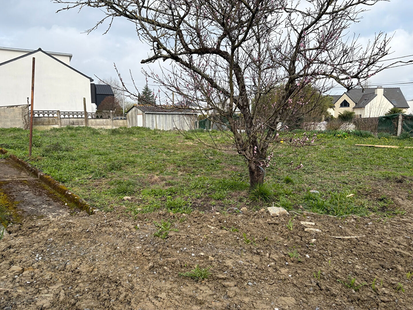 Terrain  à Cesson sevigne