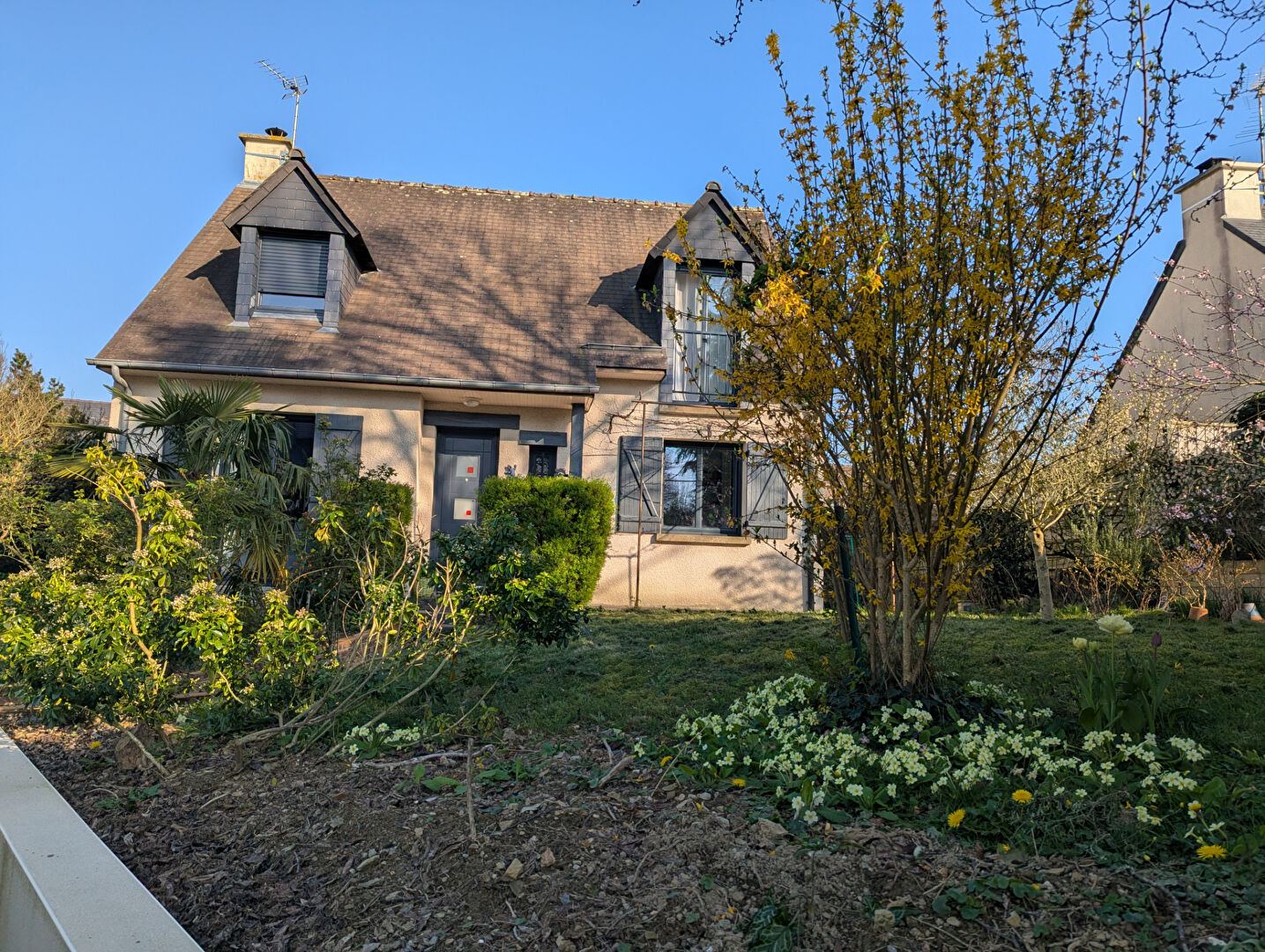 Maison T6 à Domloup