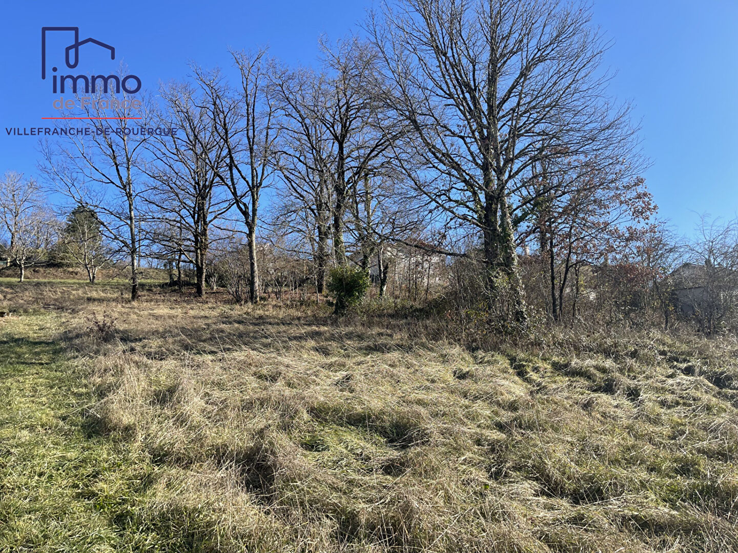 Photo TERRAIN A BATIR VILLEFRANCHE DE ROUERGUE - 1967 m2 image 4/6
