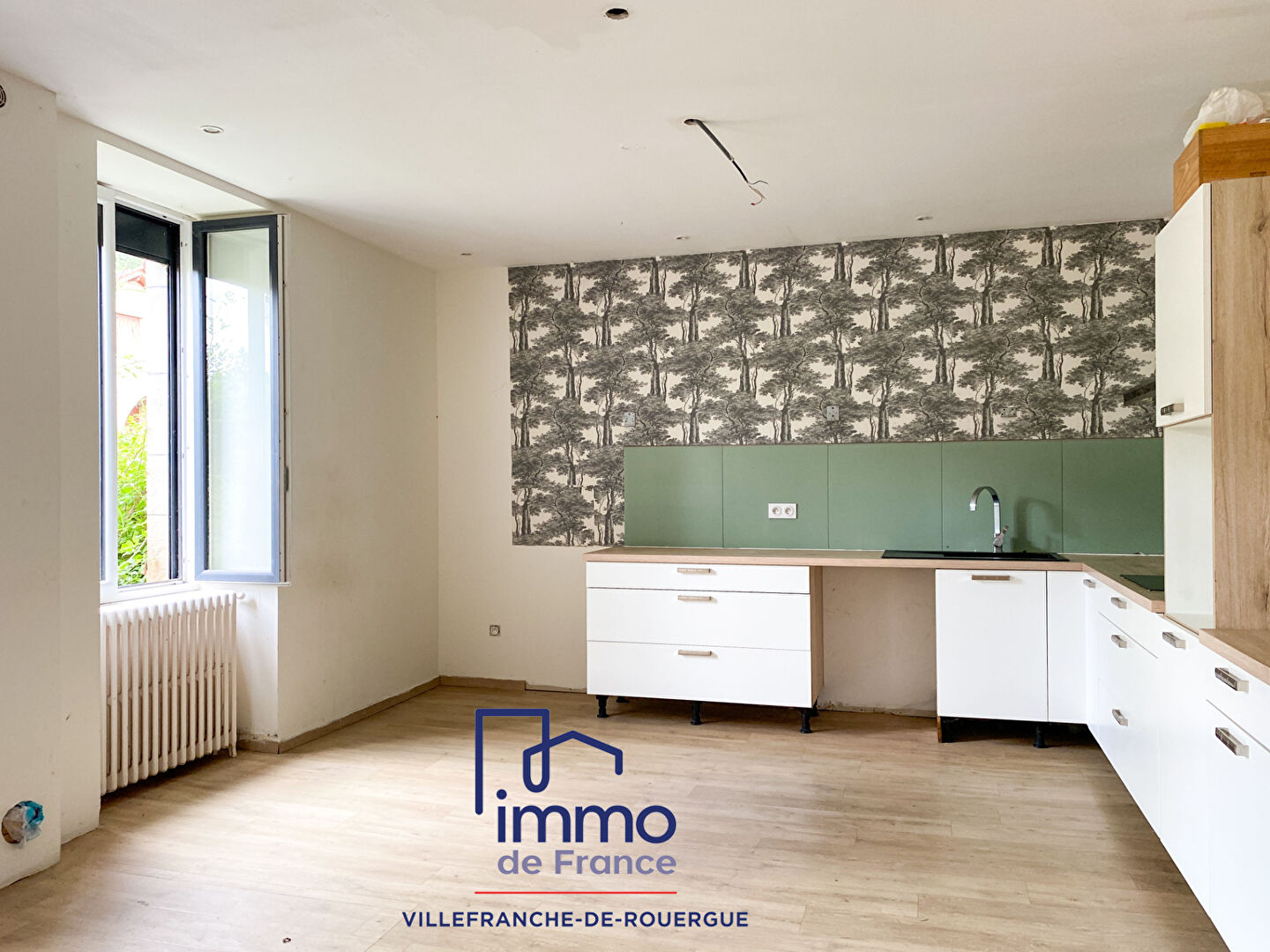 Photo Maison de Maître + dépendance avec terrain image 3/6