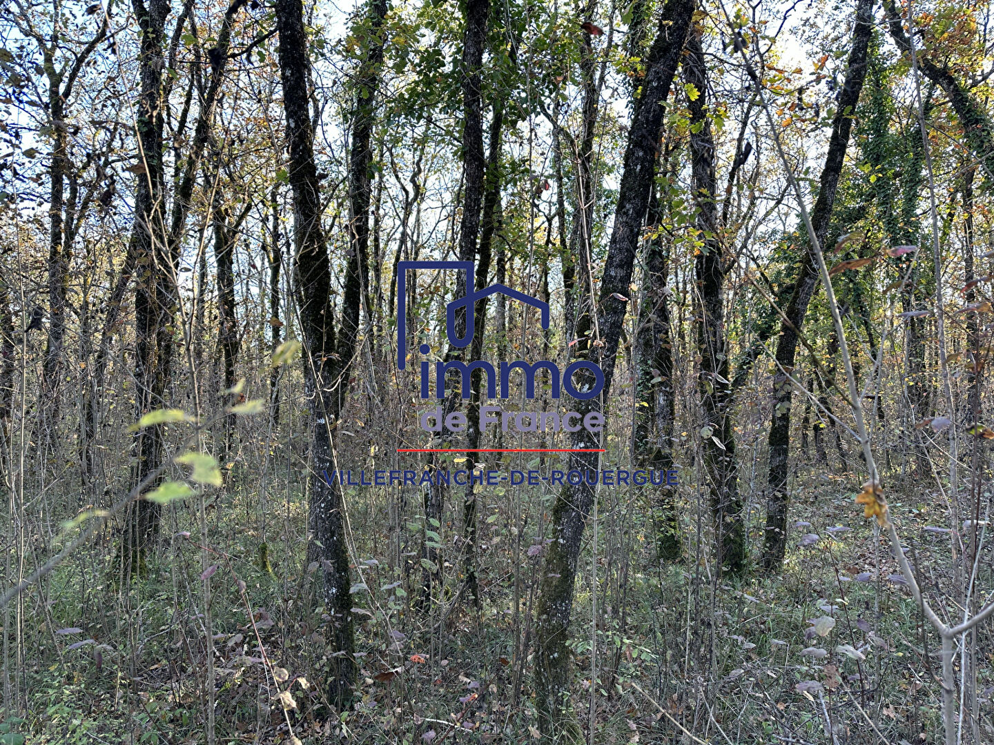 Savignac, terrain à bâtir viabilisé 7 278 m2