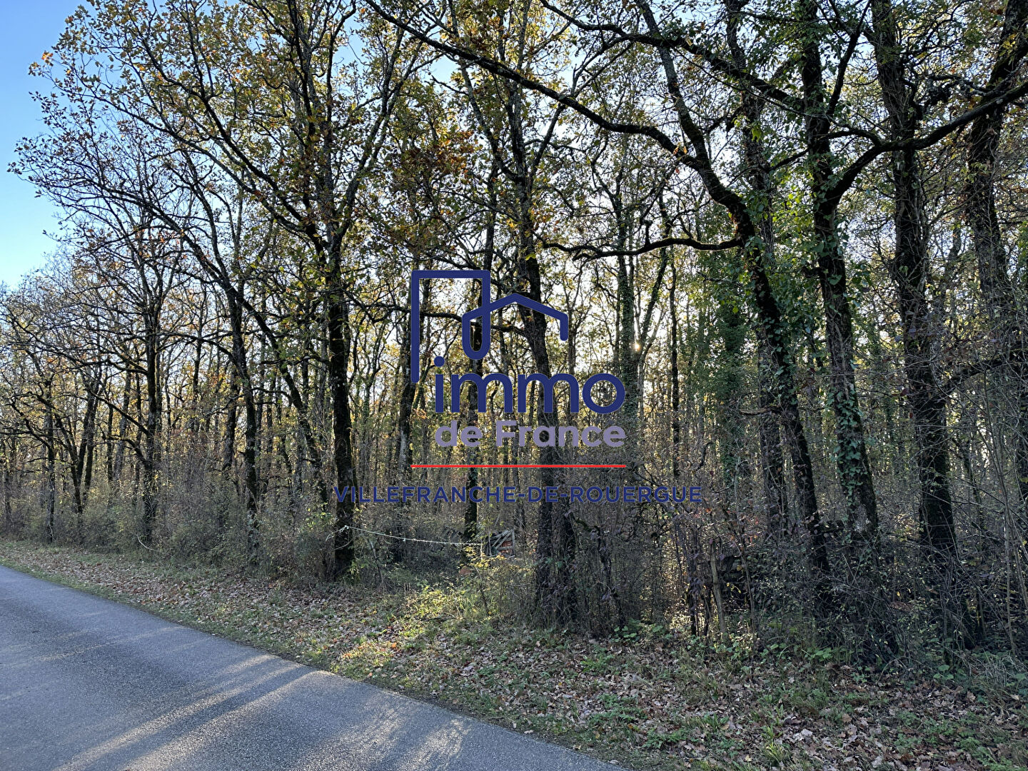 Photo Savignac, terrain à bâtir viabilisé 7 278 m2 image 2/4