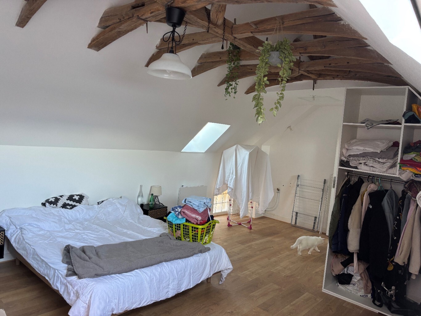 Photo Appartement  moderne au coeur des commodités image 4/5