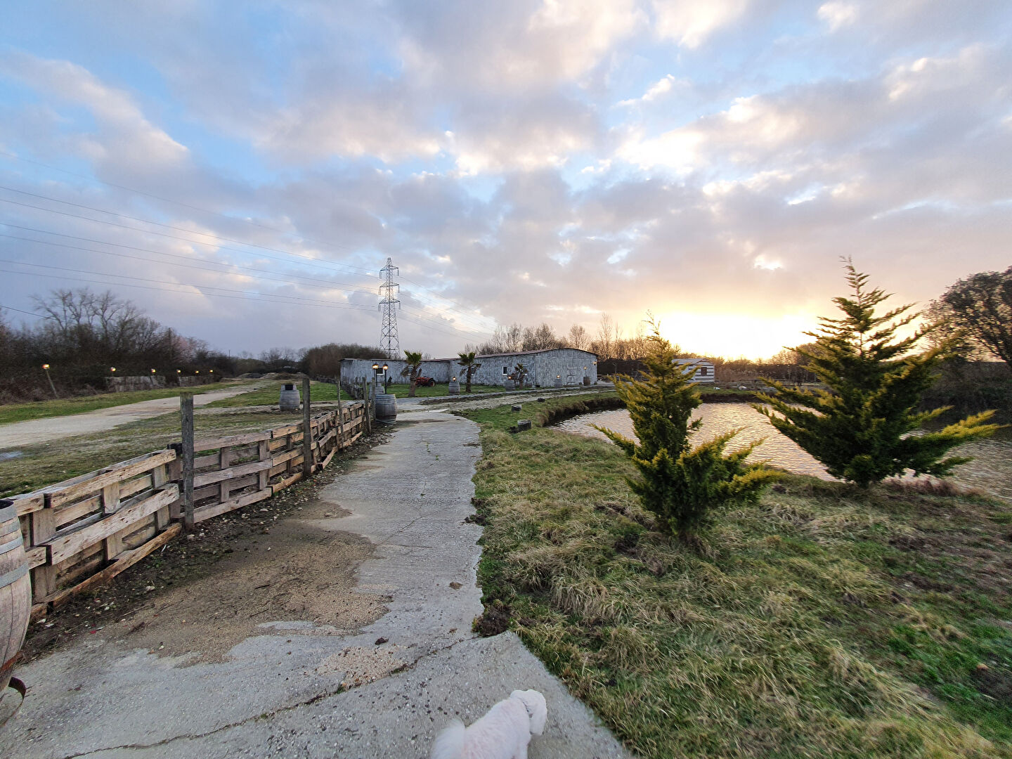Photo Terrain agricole à vendre BRUGES image 6/6