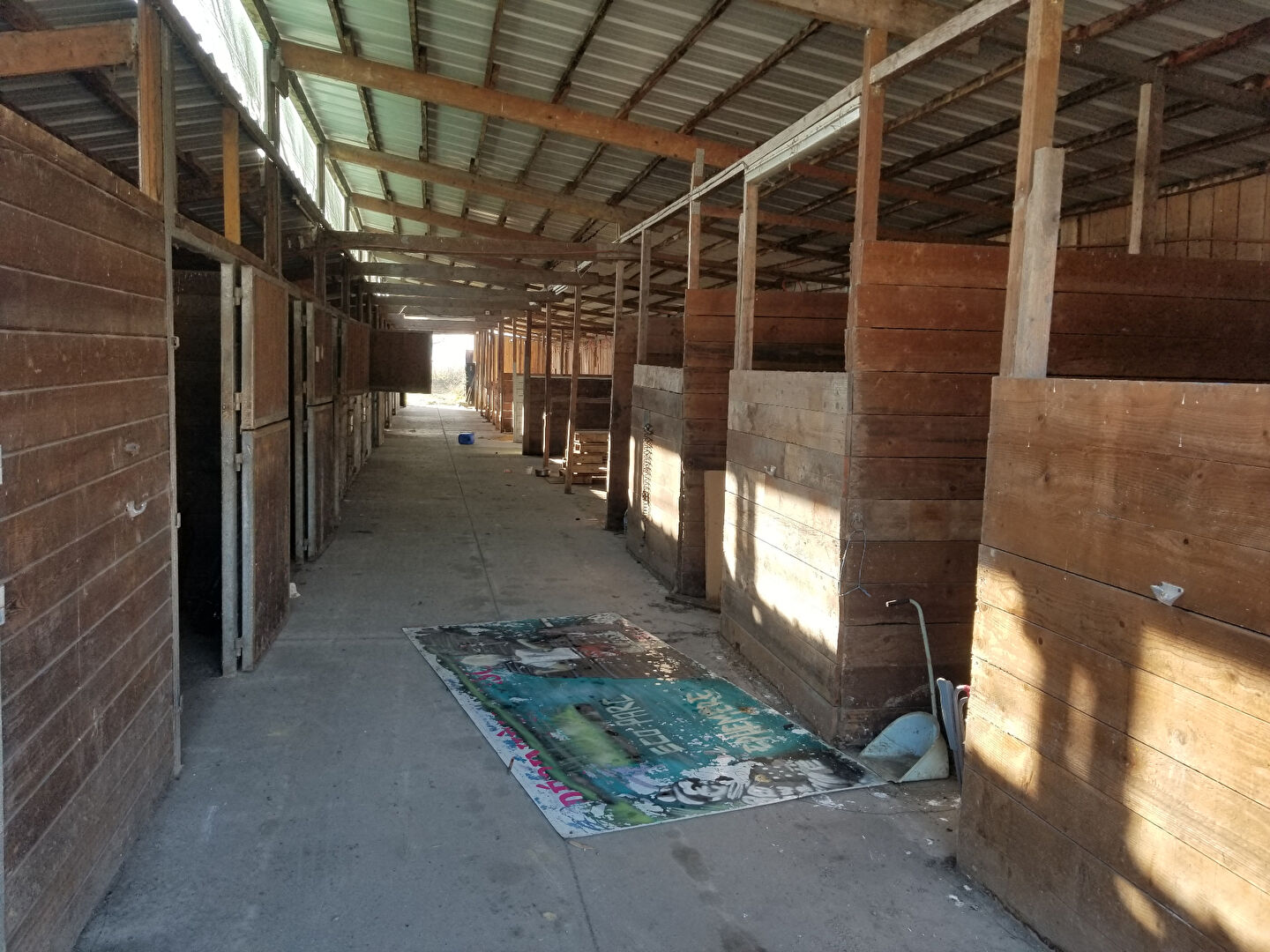 Photo Ecuries à vendre BRUGES image 2/6