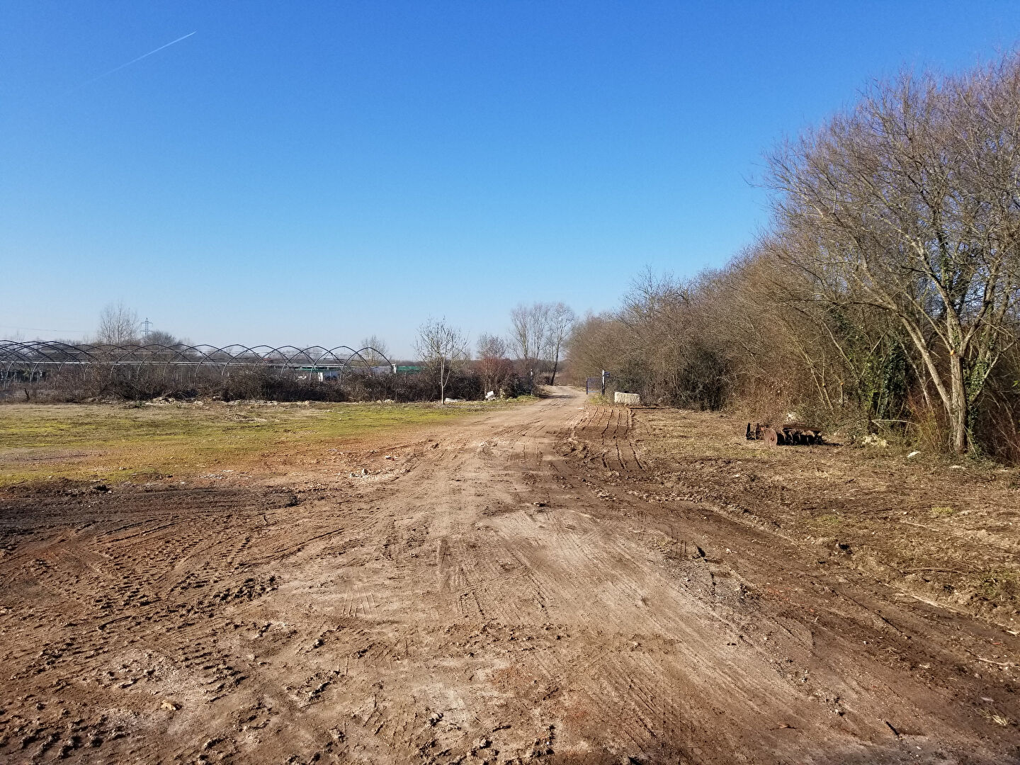 Photo Ecuries à vendre BRUGES image 4/6