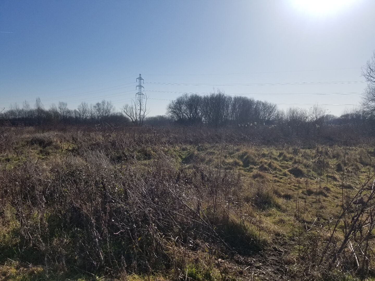 Photo Terrain agricole à vendre BRUGES image 4/6