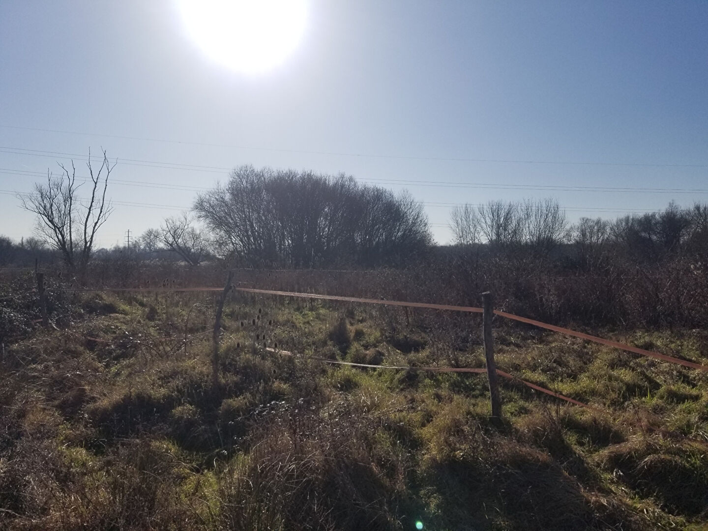 Photo Terrain agricole à vendre BRUGES image 5/6