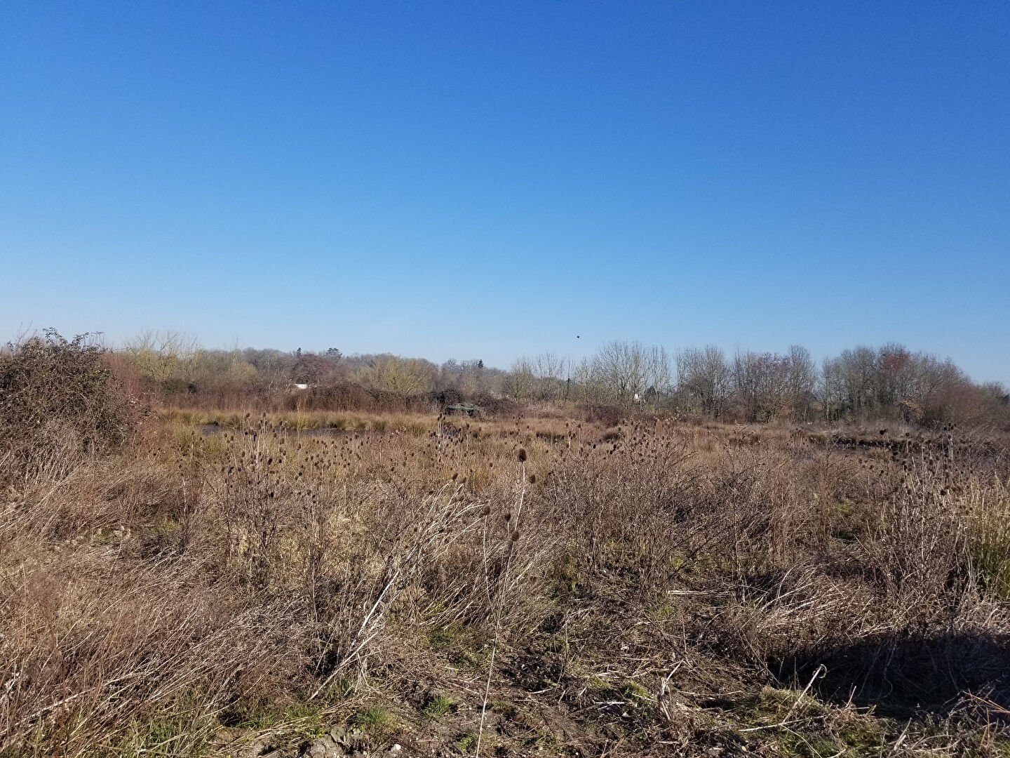 Photo Terrain agricole à vendre BRUGES image 1/6