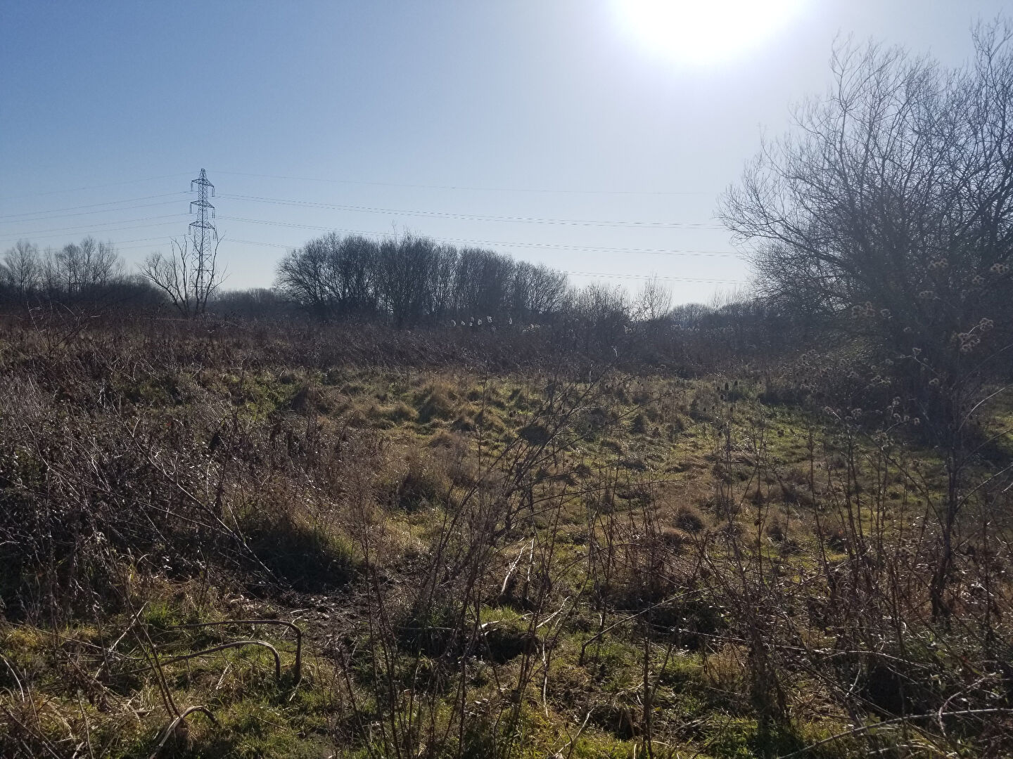 Photo Terrain agricole à vendre BRUGES image 3/6