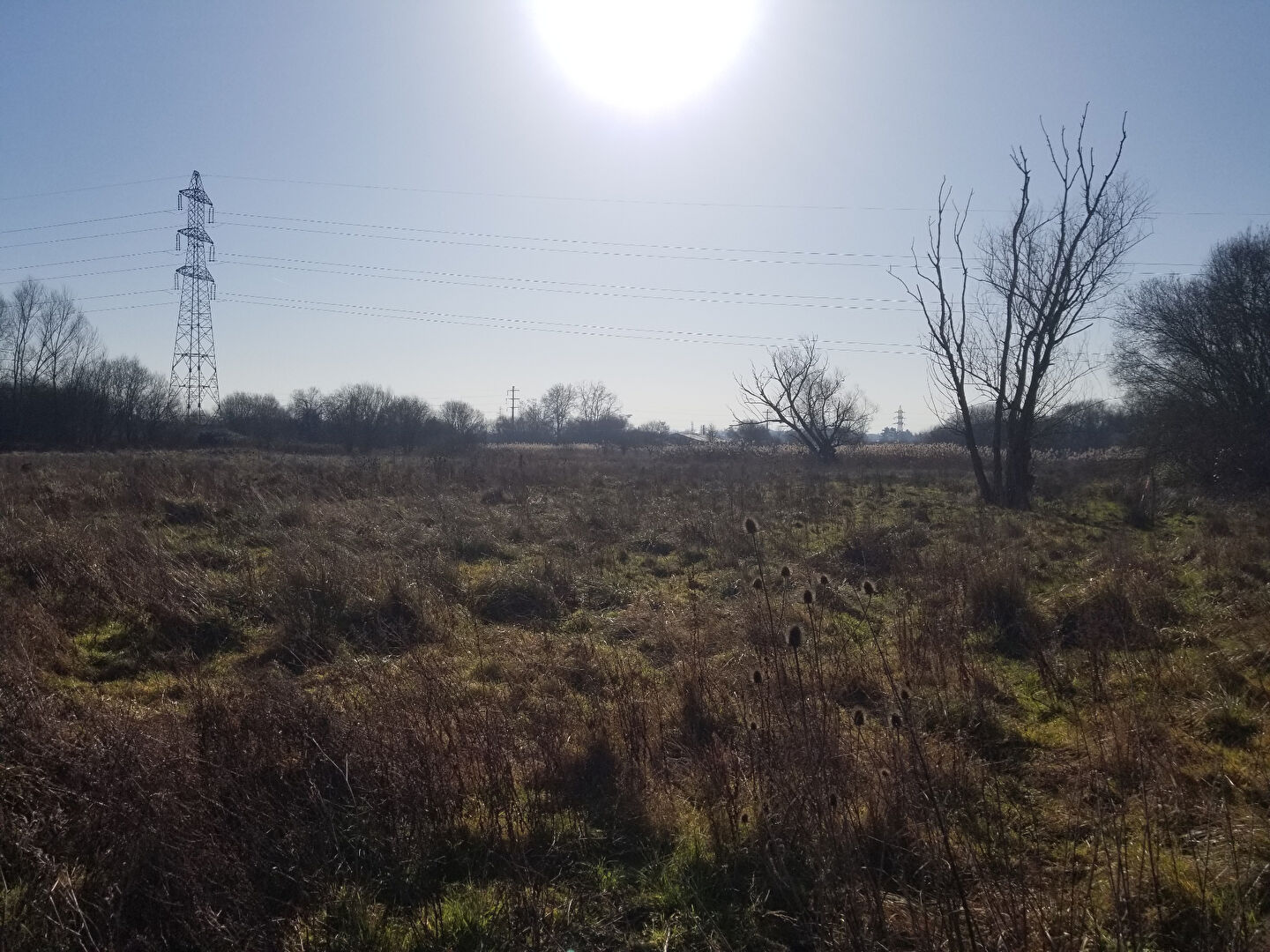 Photo Terrain agricole à vendre BRUGES image 6/6