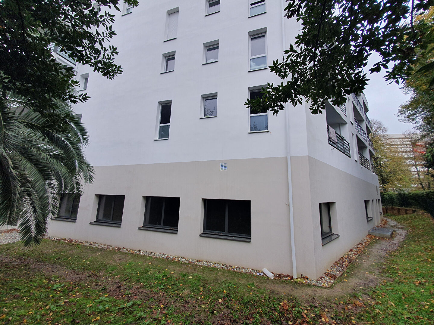 Photo Bureaux ERP à Louer ANGLET image 5/6