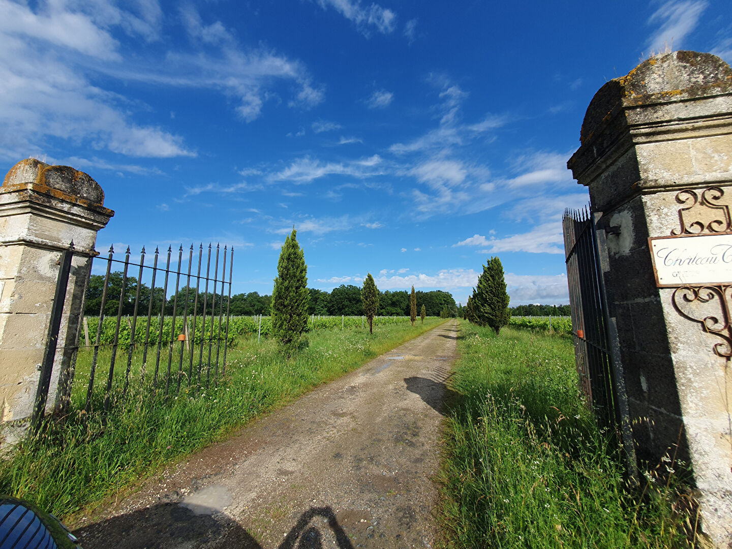 Domaine viticole à vendre ARVEYRES