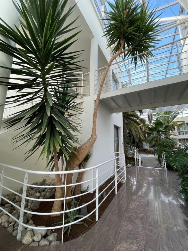 Photo Bureaux à vendre BORDEAUX image 3/6