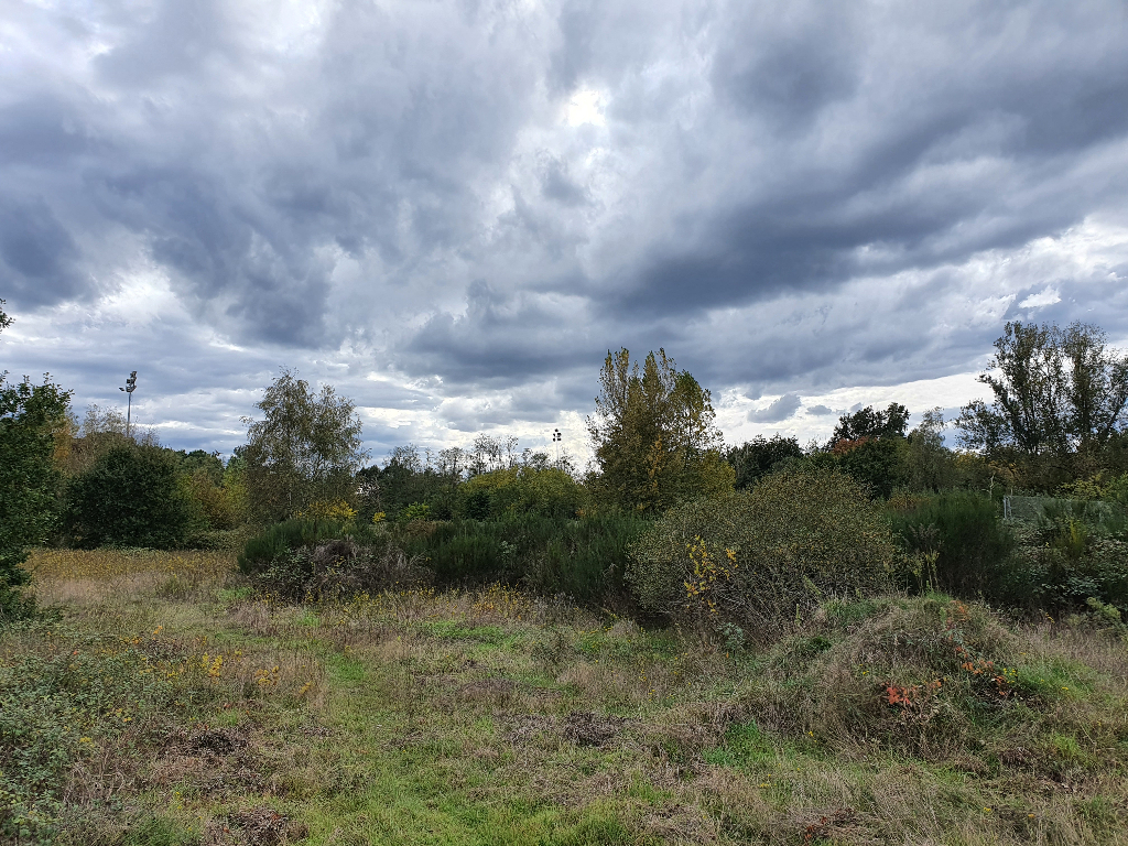 Terrain à vendre CADAUJAC