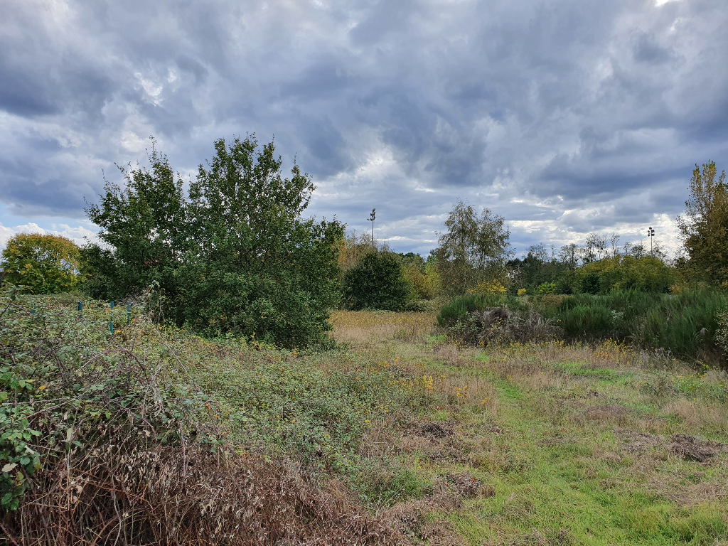 Photo Terrain à vendre CADAUJAC image 2/6