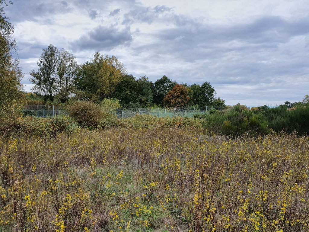 Photo Terrain à vendre CADAUJAC image 4/6