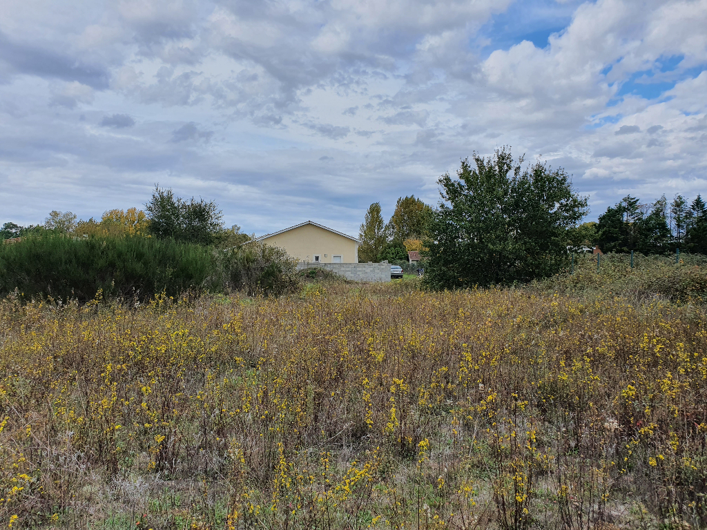 Photo Terrain à vendre CADAUJAC image 5/6