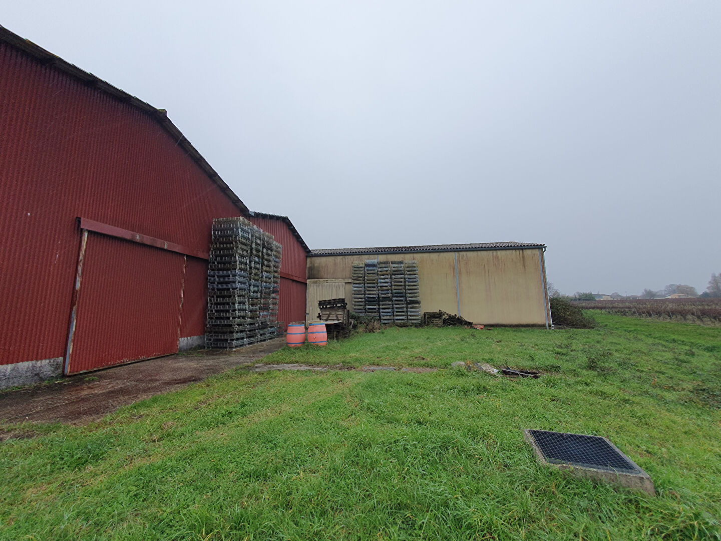 Photo Entrepôt à vendre MEDOC image 3/6