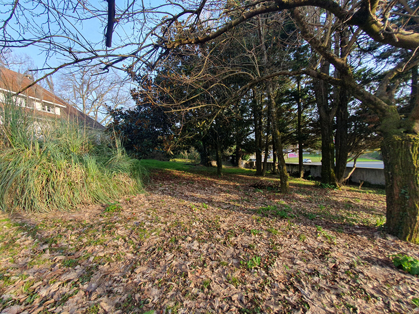 Photo Terrain à vendre ARTIGUES-PRES-BORDEAUX image 5/5