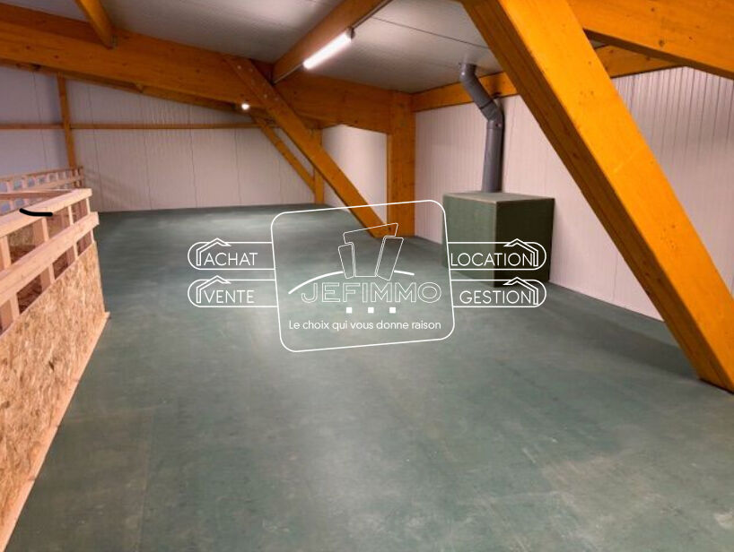 Photo LOCAL  D'ACTIVITE NEUF 279 m² image 4/5