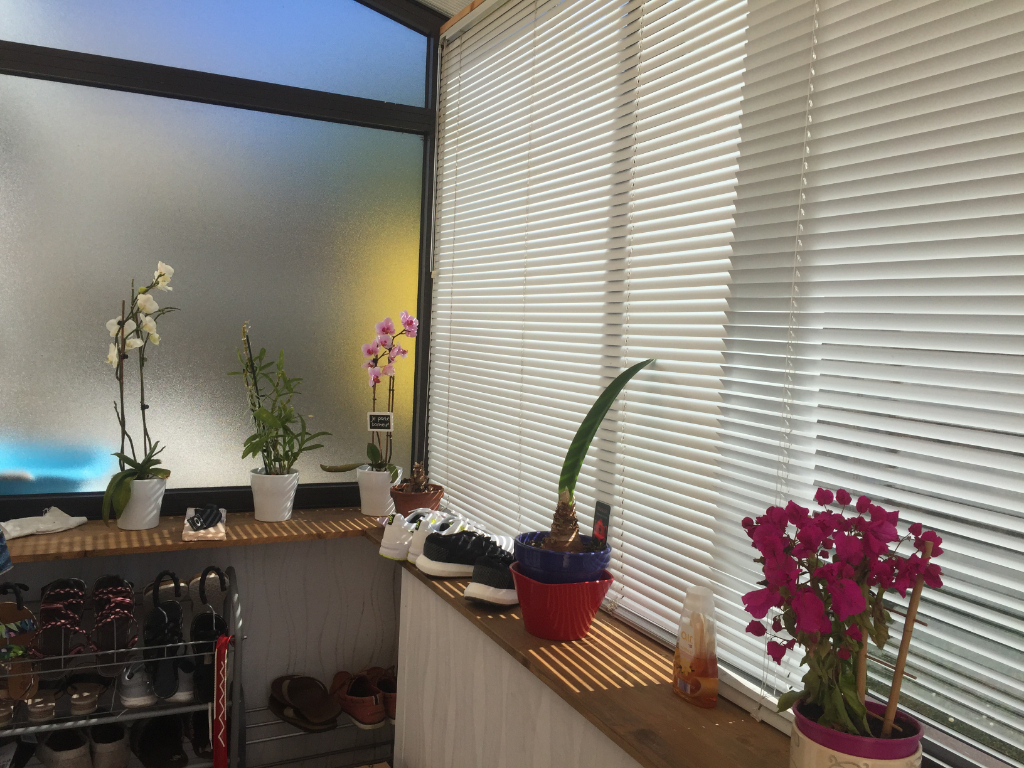 https://media.immo-facile.com/office/lemaire-immobilier/catalog/images/pr_p/3/7/6/7/5/3/8/1/37675381b.jpg?DATEMAJ=15/03/2025-21:04:29