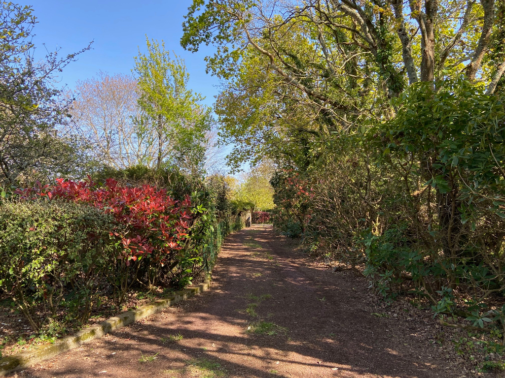 https://media.immo-facile.com/office/lemaire-immobilier/catalog/images/pr_p/4/5/3/1/2/5/0/2/45312502j.jpg?DATEMAJ=15/03/2025-19:11:10