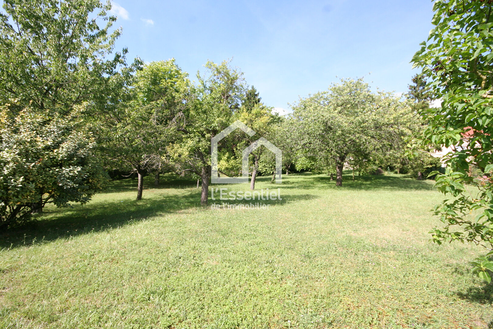 Photo Secteur prisé - Maison de 125m2  - 1767m2  de terrain image 2/6