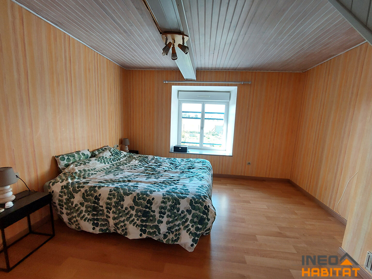 Photo Maison spacieuse sur vaste terrain TINTENIAC image 6/6