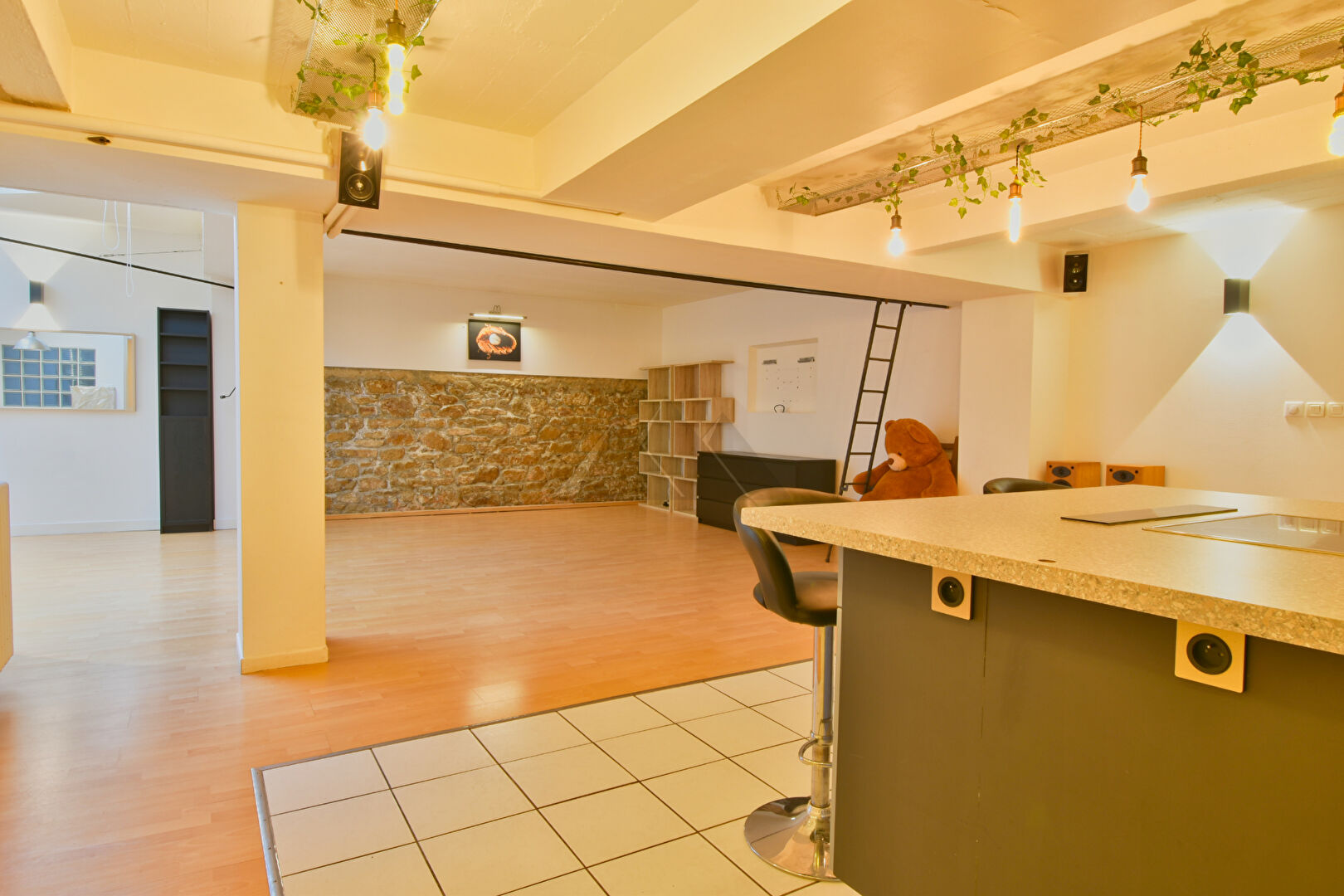 Photo APPARTEMENT LOFT 137 m2 A VENDRE - BREST TRIANGLE D'OR image 6/6