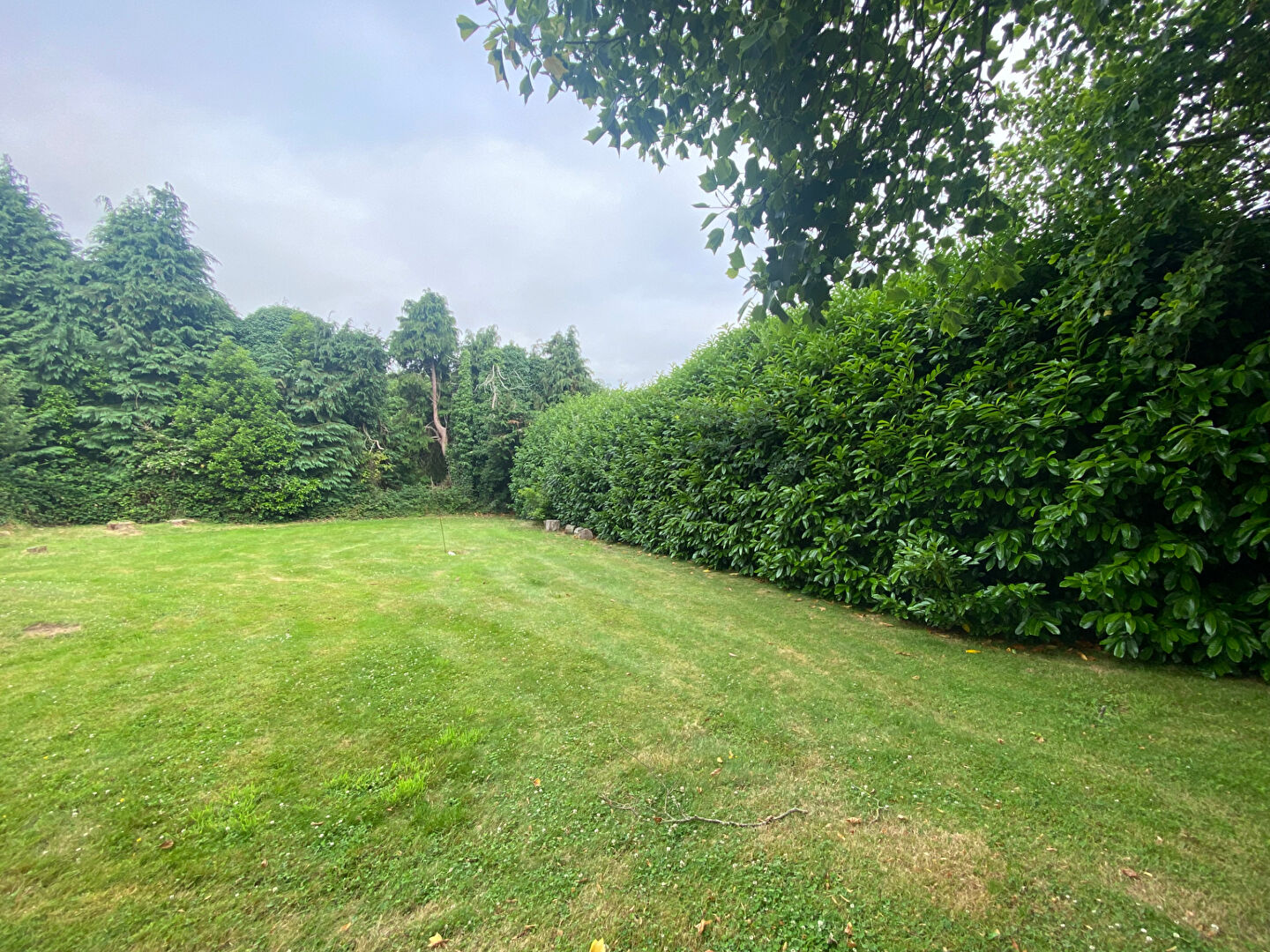 Agence immobilière de Luxior Immobilier Brest