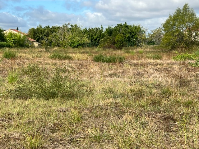 Photo A Villeneuve sur Lot, dans l'un des quartiers les plus recherchés proche des commerces et des écoles, terrain viabilisé d'environ 500m2. Possibilité d'acquérir une surface plus grande. image 2/4