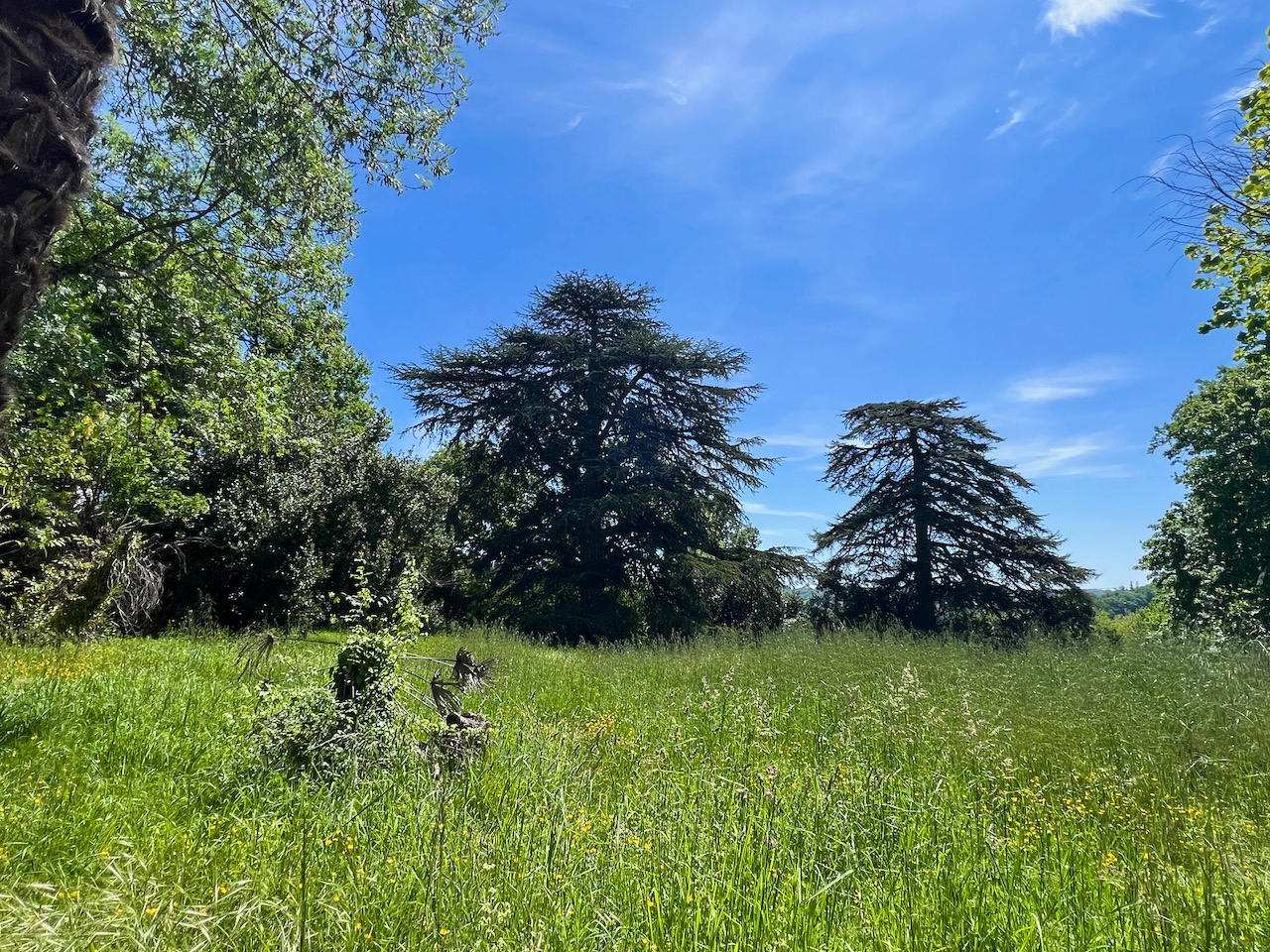 Photo Belle opportunité pour investisseur : 1 271 m2 de logements et divers bâtiments à PUJOLS (village classé « plus beau village de France »). Cet ensemble immobilier regroupe plusieurs bâtiments (sur un terrain arboré d'environ 1,6 hectare) : Lots 1 et 2 image 3/6