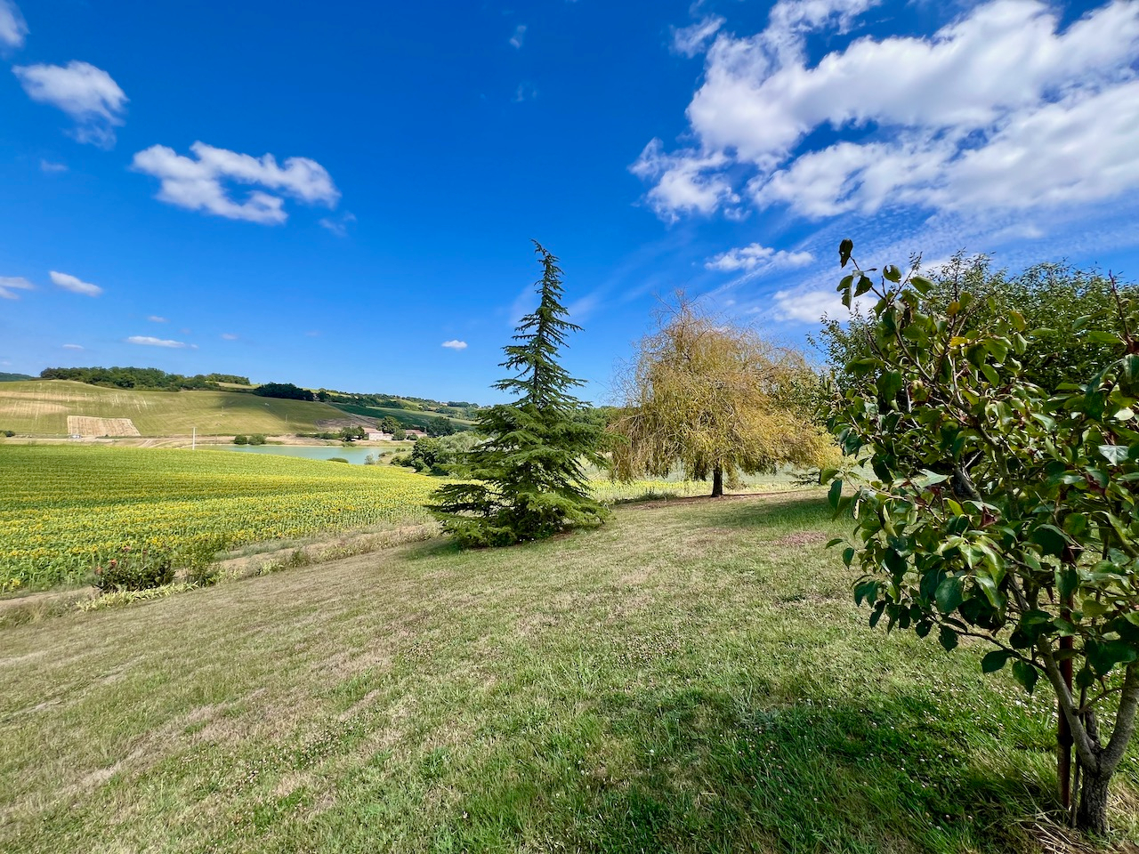 Photo Secteur Clairac, à 15 min de Tonneins et 30 min de Villeneuve sur Lot. Dans un environnement calme, avec une magnifique vue, maison en pierre restaurée d'une surface habitable de 118,26m² sur un terrain de 8834m2. Vous profiterez au rez-de-chaussée d'un s image 3/6
