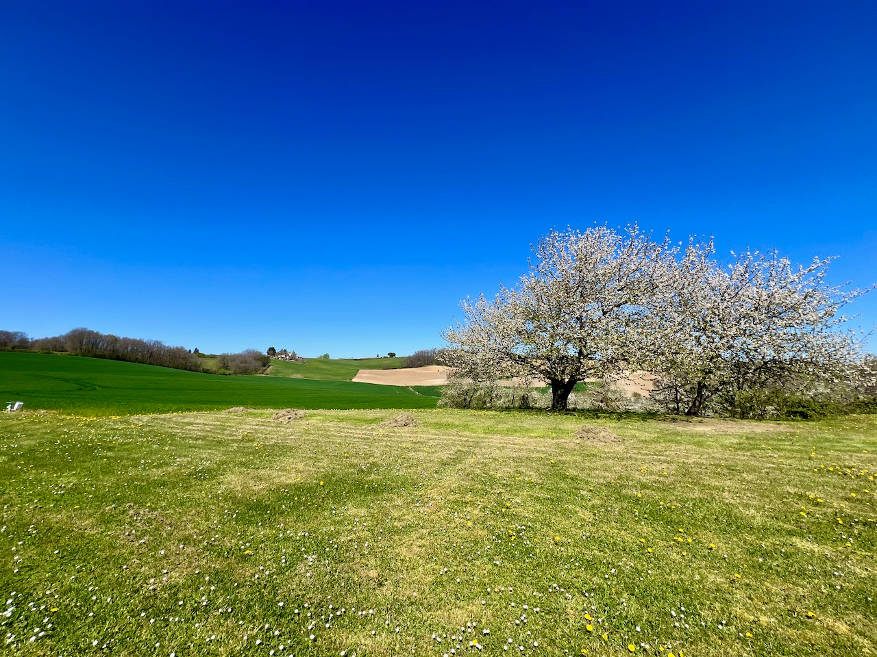 Photo Propriété en pierres avec vue panoramique, grange de 440 m² et dépendances ? Campagne du Lot-et-Garonne ? Au coeur d'un environnement privilégié et d'un calme absolu, découvrez cette authentique maison en pierres d'environ 186 m² habitables, offrant une v image 2/6