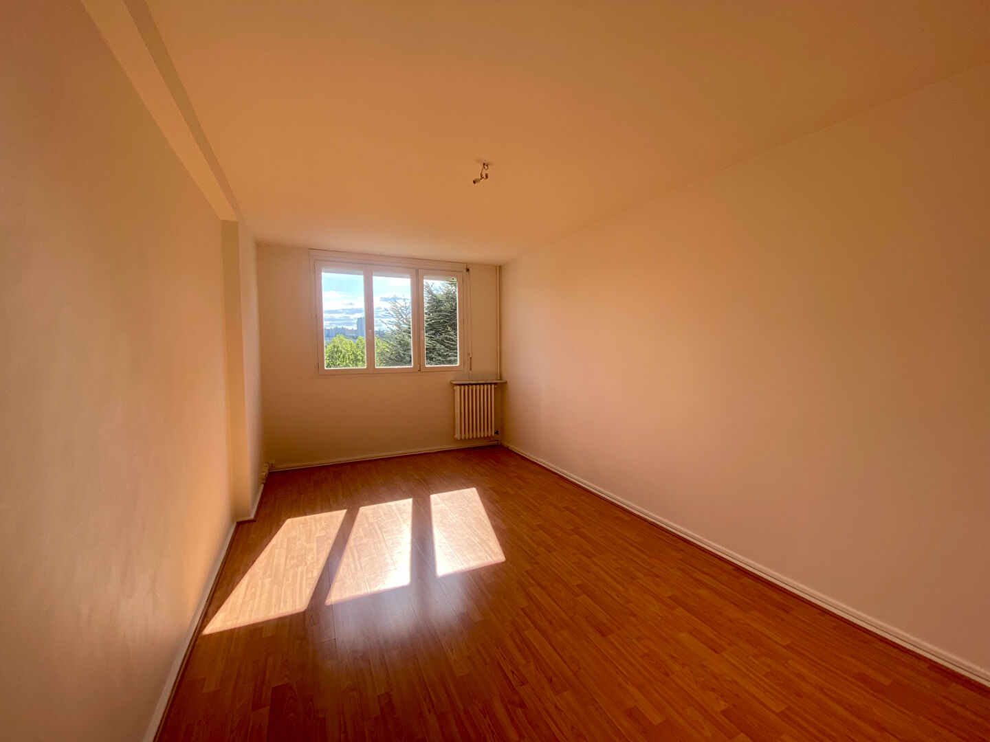 Photo SAINT-ETIENNE APPARTEMENT F3  + CAVE image 3/6