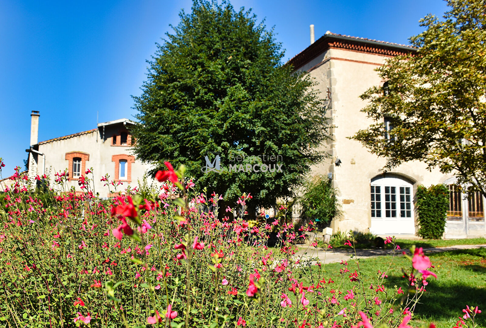 Photo Sury-Le-Comtal CHÂTEAU DE CHARME, MAISON DE GARDIEN, DÉPENDANCES, PARC PRIVÉ DE 5 HECTARES image 3/6