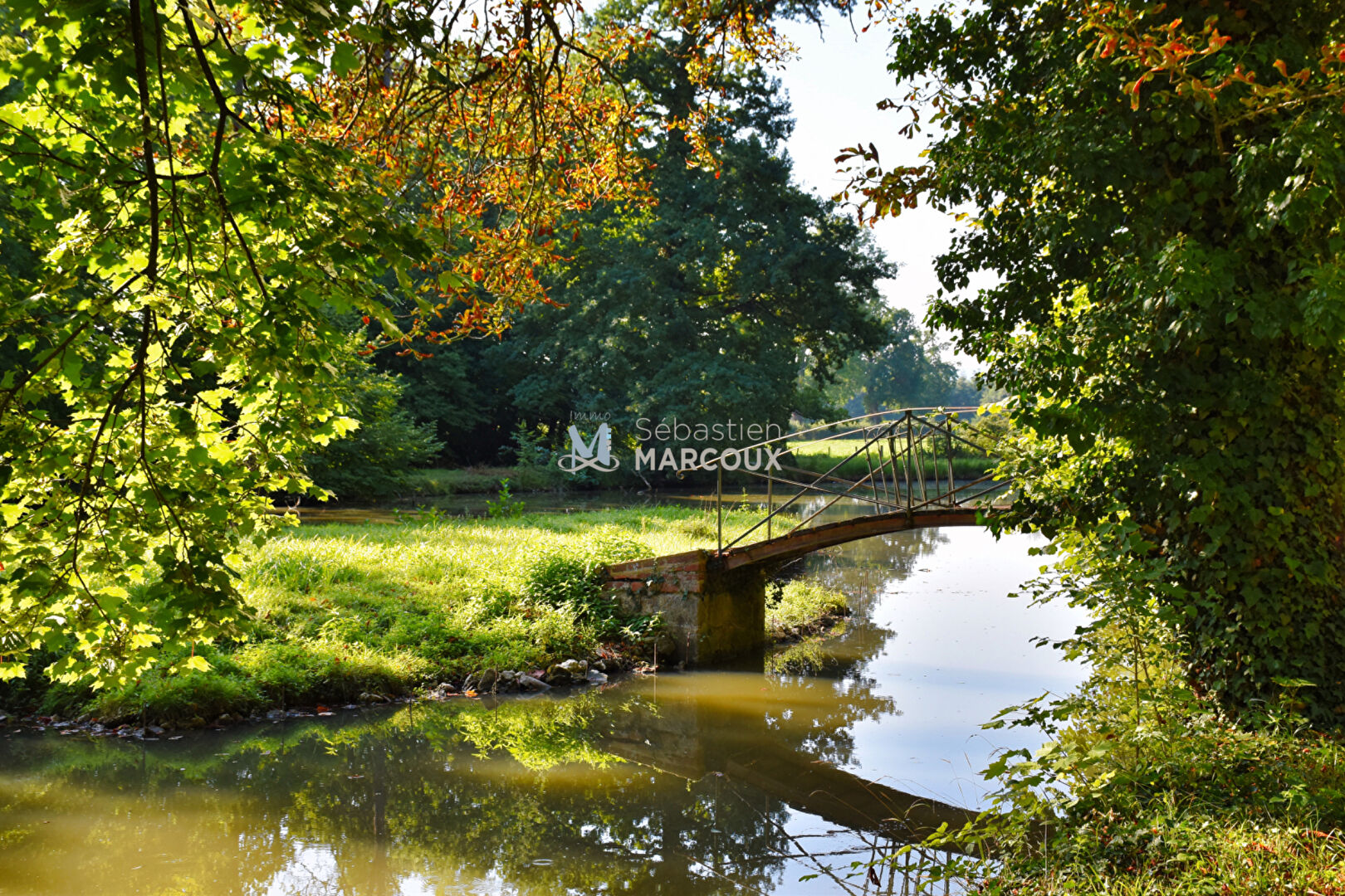 Photo Sury-Le-Comtal CHÂTEAU DE CHARME, MAISON DE GARDIEN, DÉPENDANCES, PARC PRIVÉ DE 5 HECTARES image 6/6