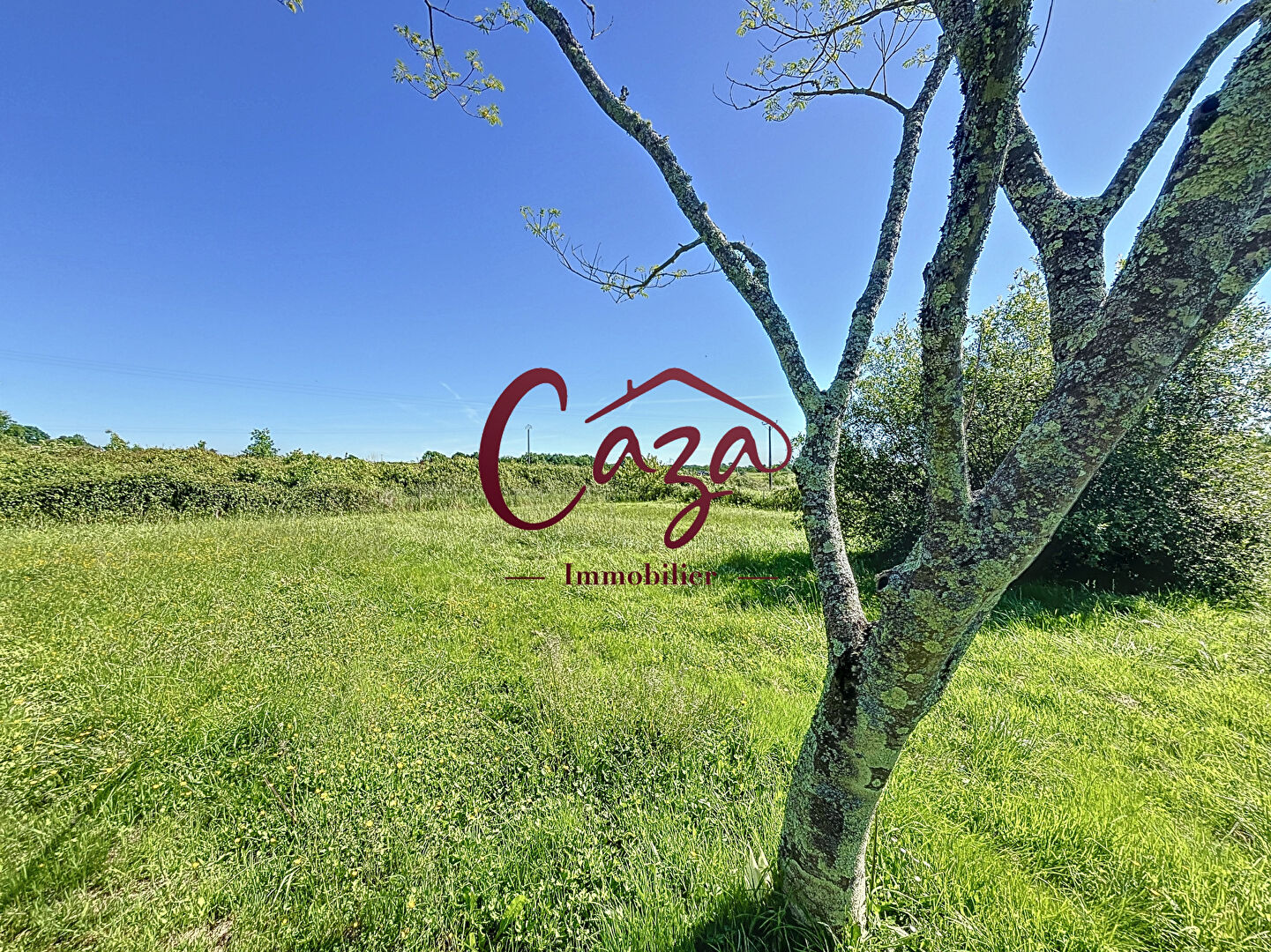 Photo Terrain Libre de constructeur - 1268 m2 image 3/4