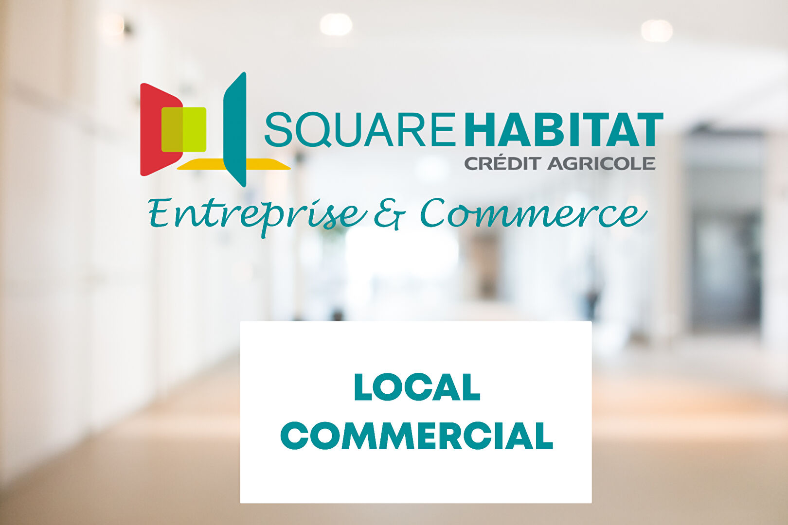 Agence immobilière de Agence Square Entreprise ,  Commerce - PAYS BASQUE