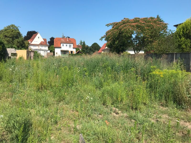 Agence immobilière de TRANSAC'IMMOBILIER Strasbourg - TRANSAC'IMMOBILIER