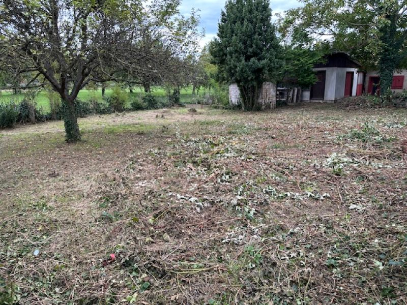 Agence immobilière de TRANSAC'IMMOBILIER Strasbourg - TRANSAC'IMMOBILIER