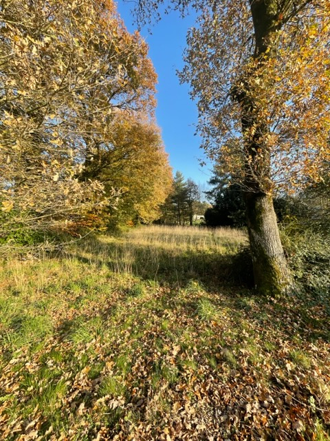 Photo Terrain Monterrein image 2/2