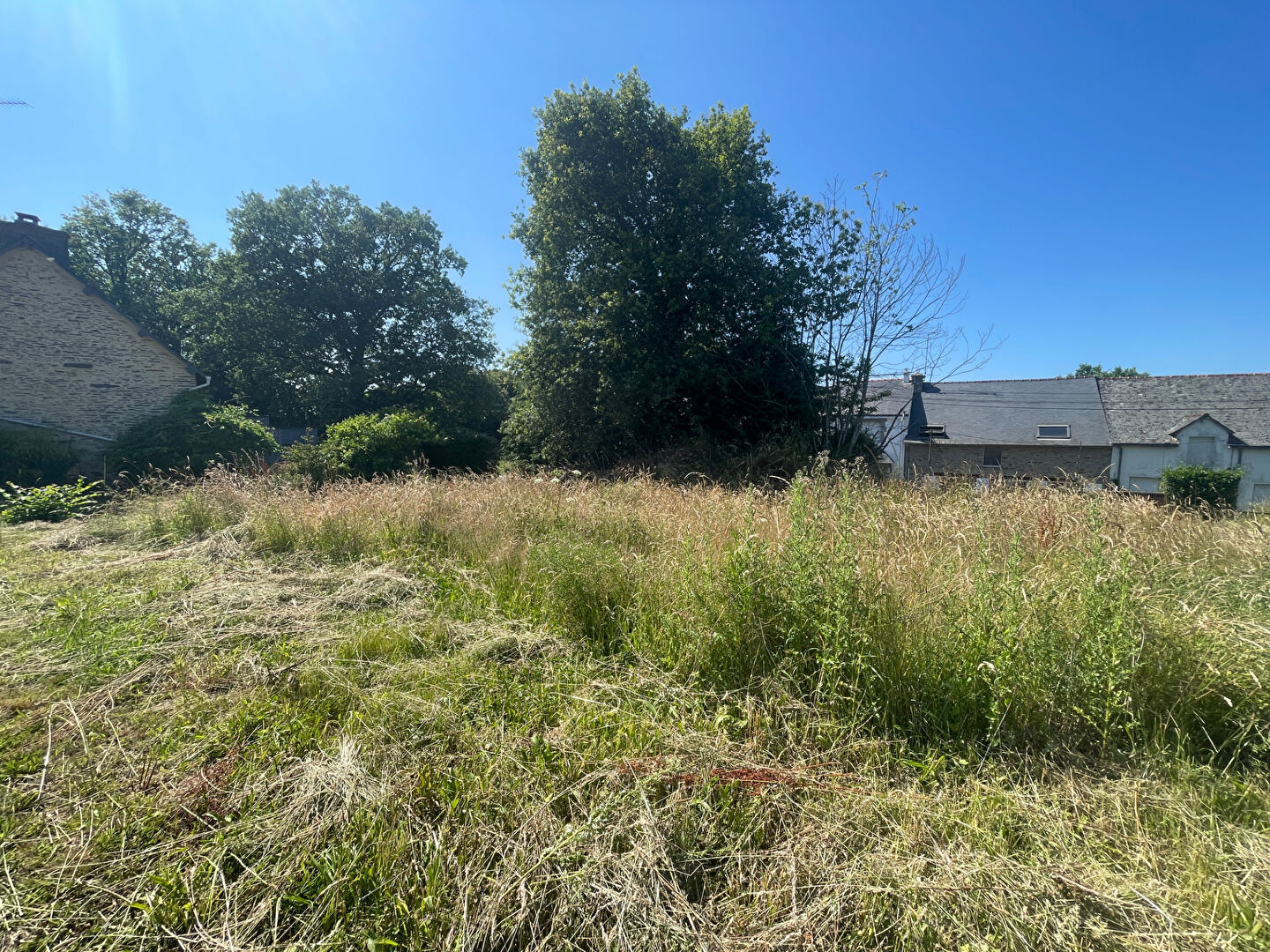 Photo À vendre ? Terrain constructible non viabilisé ? Montertelot (56800) image 3/4