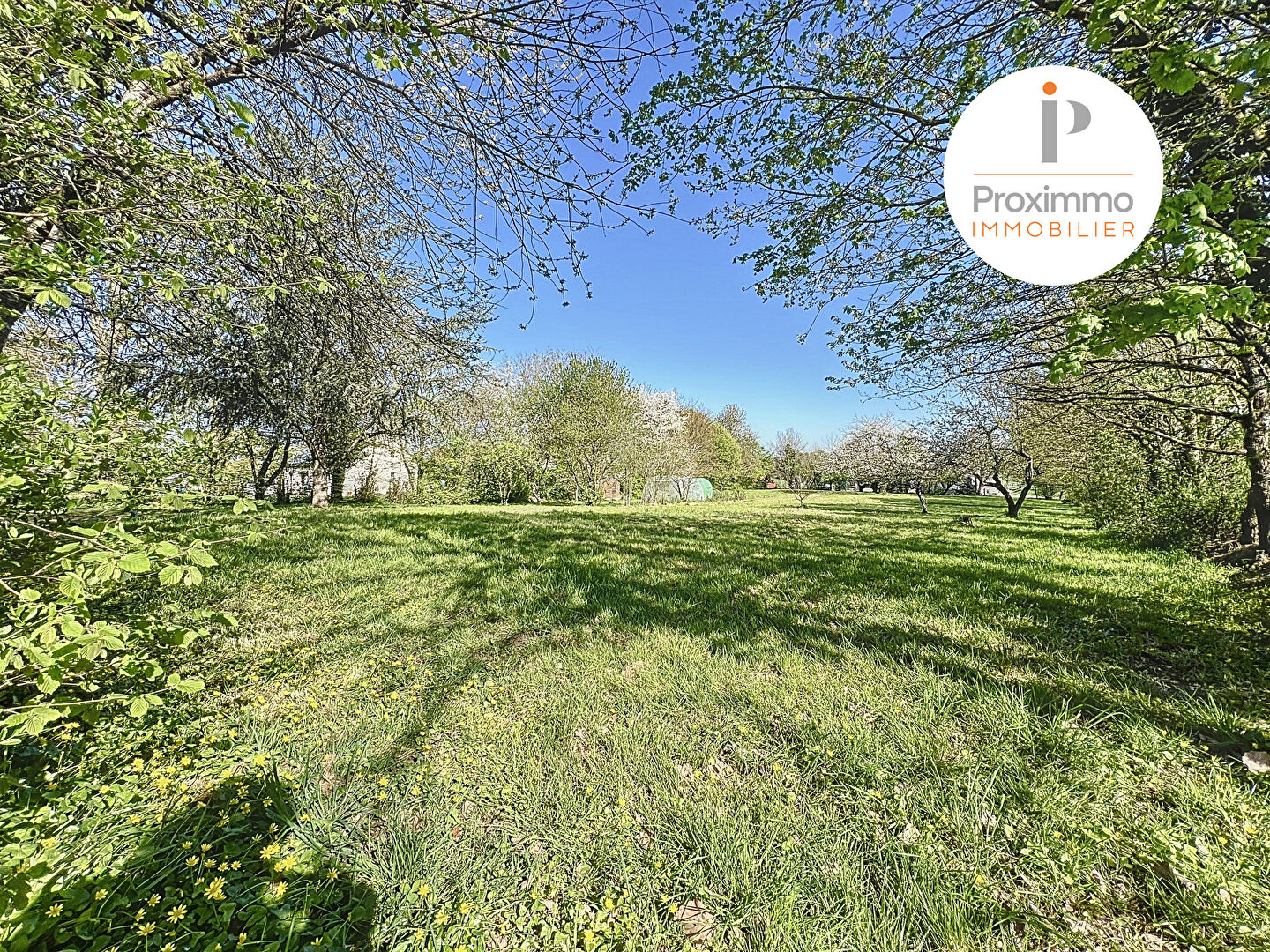 Photo PLECHATEL (35470) - LONGÈRE EN PIERRES 199 m² SUR TERRAIN 3900 m² image 4/6